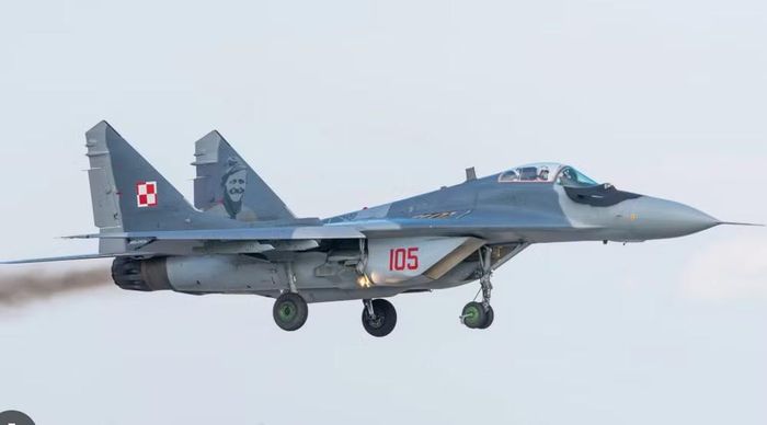 Theo chuyên trang Defence24 của Ba Lan, tín hiệu radar của MiG-29 có thể giống tên lửa hành trình trong một số tình huống. Ukraine cũng không sử dụng hệ thống nhận diện địch - ta theo tiêu chuẩn NATO.