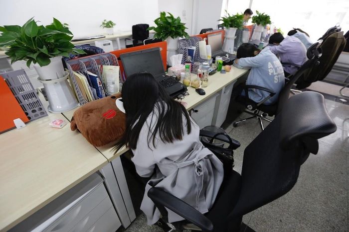  Nhân viên ngủ trưa trong một văn phòng ở Trung Quốc. 