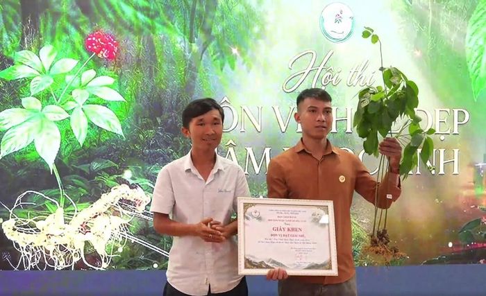 Các sản phẩm dự thi là những cây sâm sinh trưởng khỏe mạnh, nhiều năm tuổi, mang hình dáng độc đáo, được chăm sóc, bảo tồn trong điều kiện tự nhiên đặc hữu của vùng núi Ngọc Linh