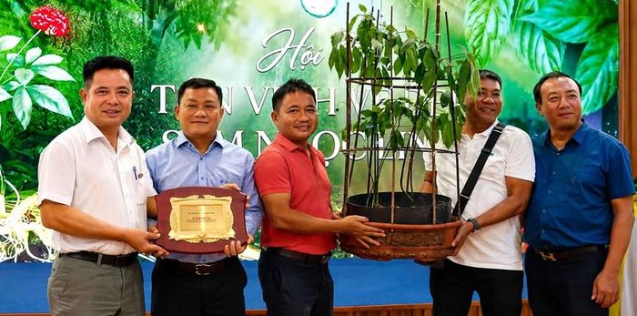 Giải Nhất nhóm sâm trên 10 năm tuổi thuộc về Công ty Cổ phần Trồng trọt, Chế biến Dược liệu Quảng Nam