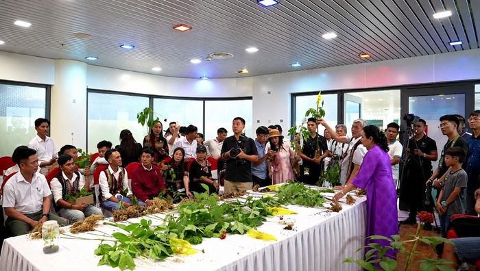 Hội thi sâm Ngọc Linh đẹp 2026