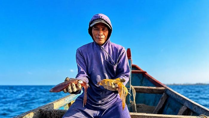 Mực lá còn sống được bắt bằng bóng mực nên giữ nguyên độ tươi ngon và giá trị thương phẩm cao