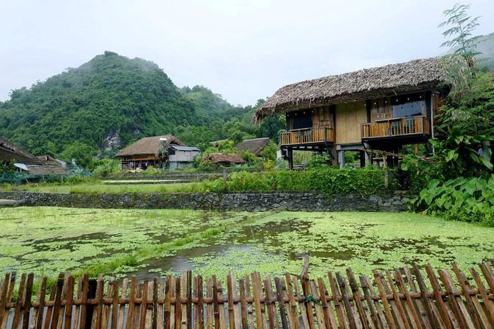 Những mái nhà người Tày bình yên giữa núi rừng