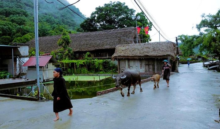 Cảnh bình yên ở thôn Tha buổi sáng sớm. Ảnh: ĐẶNG THỰC