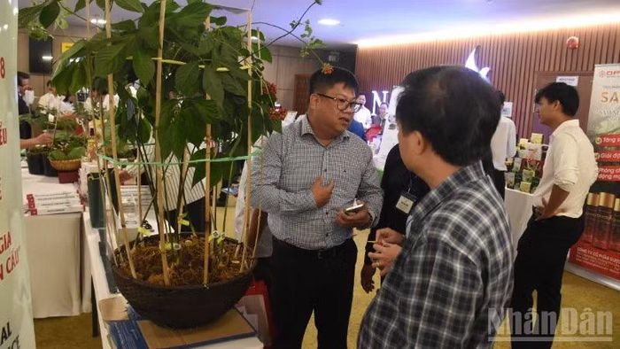 Đà Nẵng phát triển thương hiệu sâm Ngọc Linh từ sản phẩm quốc gia trở thành thương hiệu toàn cầu.