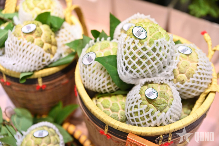 Na Chi Lăng - đặc sản tiêu biểu của Lạng Sơn.