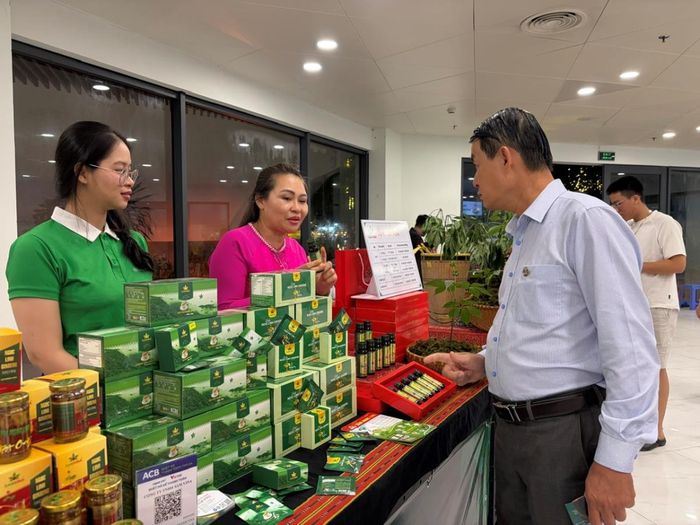 Du khách tham quan các gian hàng trưng bày sản phẩm Sâm Ngọc linh. Ảnh: P.T