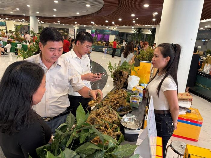 Đại biểu và du khách tham quan các gian hàng giới thiệu sản phẩm tại Lễ hội Sâm Ngọc Linh và Dược liệu quốc tế Đà Nẵng 2026. Ảnh: P.T