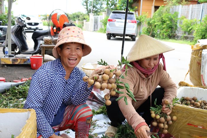 Chủ vườn và công nhân cùng cắt tỉa lại nhãn sau thu hái. Ảnh: QUANG VŨ