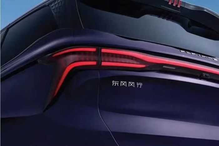 Forthing V9 được gọi bằng cái tên Xinghai V9 ở thị trường Trung Quốc. Ra mắt vào năm 2024, mẫu xe này là sản phẩm đầu tiên của dòng xe Xinghai. Ngoài ra, V9 còn trở thành một trong những mẫu xe bán chạy nhất trong dòng sản phẩm Xinghai. Theo dữ liệu tại thị trường Trung Quốc, mẫu xe này ghi nhận doanh số 4.863 chiếc vào năm 2024 và 4.363 chiếc vào năm 2025.