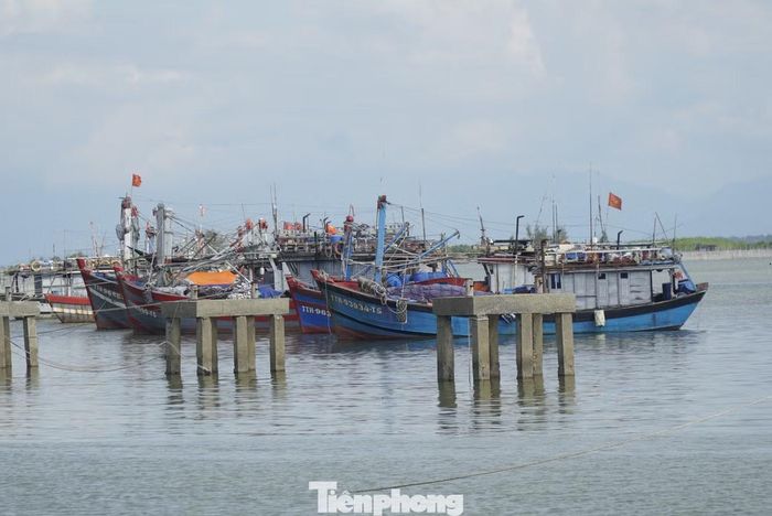 Không thể xuất bến, nhiều chủ tàu tại Huế vẫn phải gánh chi phí bảo dưỡng và duy trì phương tiện.