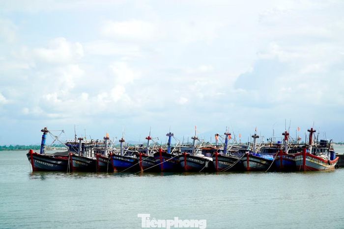 Tàu cá nằm bến dài ngày, trong khi nhiều lao động nghề biển tại Huế phải chuyển sang công việc tạm thời để mưu sinh.