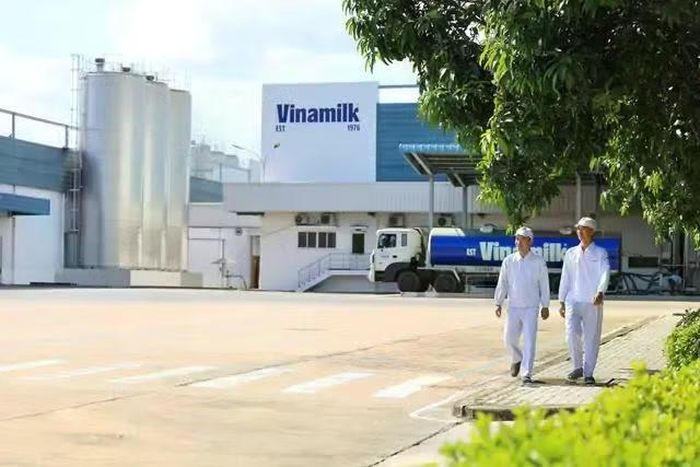 Vinamilk đạt lợi nhuận quý cao nhất từ trước đến nay.