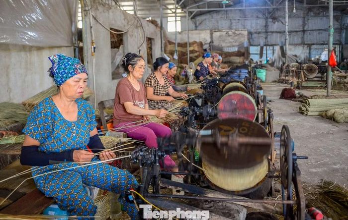 Tại các xưởng sản xuất tại xã Tân Tiến, cói sau khi phơi khô sẽ được mang đi se sợi thành dạng dây cói tròn, chắc, đều đặn. Khác với việc chẻ cói phẳng để dệt chiếu truyền thống, việc se sợi cói chủ yếu phục vụ cho ngành sản xuất các mặt hàng thủ công mỹ nghệ xuất khẩu như giỏ xách, túi cói, mũ nón, thảm, khay đựng và các vật dụng trang trí nội thất.