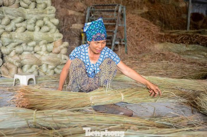 Lao động tham gia trồng và chế biến cói đa phần là người lớn tuổi. Thu nhập không cao, nhưng giúp họ ổn định cuộc sống ngay tại quê nhà.