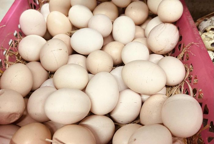 Ăn trứng đều đặn đã được chứng minh có lợi cho sức khỏe. Ảnh: Ban Mai