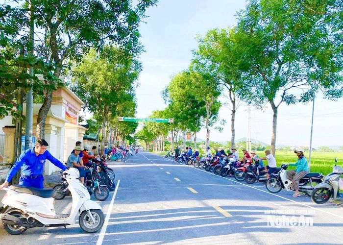 Hàng cây xanh do Hội Cựu chiến binh xã Đông Lộc trồng, chăm sóc. Ảnh: Mai Hoa