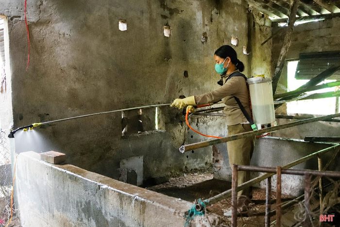 Các hộ nuôi gà trong vùng có ổ dịch cúm H5N1 phun tiêu độc khử trùng khu vực chăn nuôi.