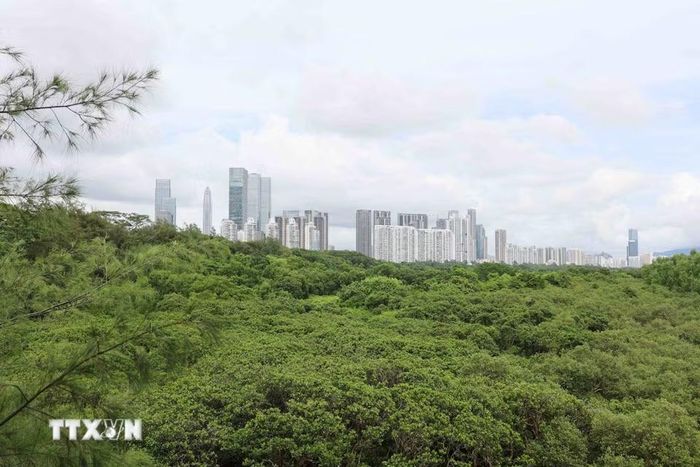 Không gian xanh tạo nên phông nền ấn tượng nhất cho thành phố, hệ sinh thái nơi đây được xem là một lợi ích công cộng thiết yếu. (Ảnh: Công Tuyên/TTXVN)