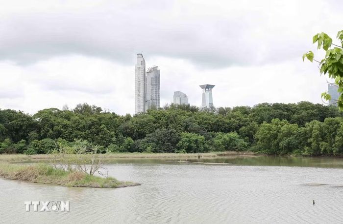 Không gian xanh tạo nên phông nền ấn tượng nhất cho thành phố, hệ sinh thái nơi đây được xem là một lợi ích công cộng thiết yếu. (Ảnh: Công Tuyên/TTXVN)