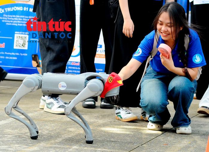 Sinh viên tình nguyện thích thú tương tác với "chó robot" tại ngày hội.