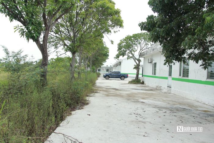 Đặc biệt, phần lớn diện tích còn lại của dự án bị bỏ hoang cỏ dại mọc um tùm, thậm chí làm nơi tập kết rác thải xây dựng.