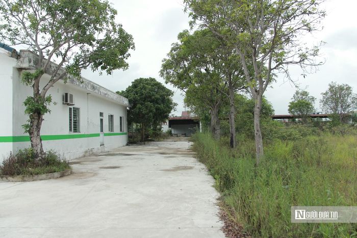 Đến tháng 6/2010, Công ty TNHH Bệnh viện Đa khoa Ngọc Linh làm lễ động thổ khởi công dự án bệnh viện. Tuy nhiên, sau khi xây dựng được bờ bao xung quanh, 2 dãy nhà nhỏ làm Trung tâm cấp cứu 115 và chòi bảo vệ thì dự án bất ngờ dừng lại, bỏ hoang cho đến nay. Các hạng mục công trình chính của dự án chưa được xây dựng gồm: khu khám và chữa trị, khu quản lý điều hành, nhà nghỉ dưỡng cao cấp, nhà dành cho chuyên gia và các công trình phụ trợ khác…