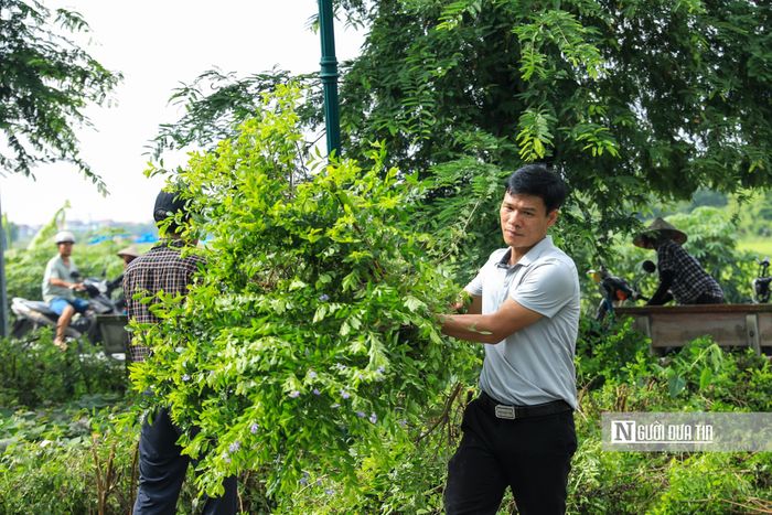 Theo kế hoạch, hoạt động vệ sinh môi trường sẽ được các thôn trên địa bàn xã Thư Lâm duy trì hằng tuần nhằm giữ gìn cảnh quan xanh, sạch, đẹp.