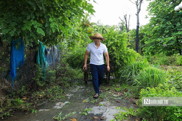 Ghi nhận của Người Đưa Tin, trên khắp các tuyến phố, ngõ xóm, các cán bộ, đảng viên cùng nhân dân khẩn trương bắt tay vào việc dọn vệ sinh môi trường.
