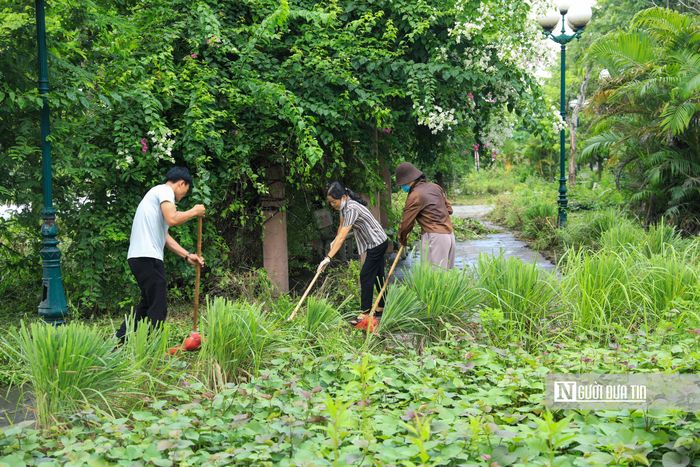 Toàn thể cán bộ, đảng viên cùng nhân dân khẩn trương bắt tay vào việc dọn vệ sinh môi trường, trồng hoa trên các tuyến đường…