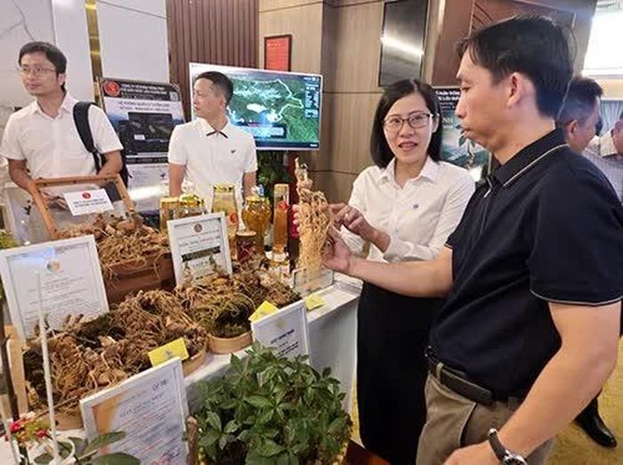 Các sản phẩm sâm Ngọc Linh trưng bày tại hội thảo.