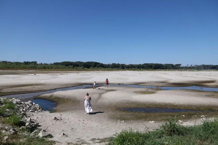 Người dân đi bộ trên những bãi cát mới lộ ra trên sông Danube khi mực nước giảm xuống, tại Apatin, Serbia, ngày 29/7. Ảnh: Reuters.
