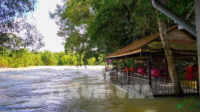 Quán ăn có dấu hiệu lấn chiếm hành lang thoát lũ hồ Dầu Tiếng tại ấp Sơn Đài, xã Dầu Tiếng, Thành phố Hồ Chí Minh. Ảnh: Minh Phú - TTXVN