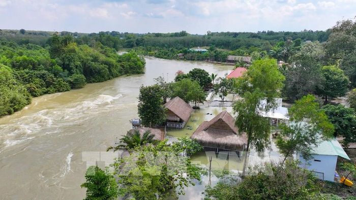 Một số công trình kinh doanh ven suối, địa bàn ấp Sơn Đài, xã Dầu Tiếng, Thành phố Hồ Chí Minh thường xuyên ngập sâu khi hồ Dầu Tiếng điều tiết nước trong mùa mưa lũ. Ảnh: Minh Phú - TTXVN