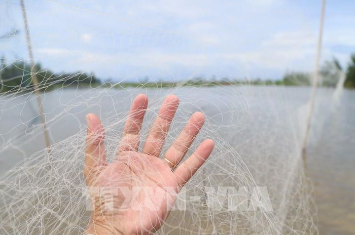 Cận cảnh mắt lưới siêu mảnh được sử dụng để bẫy chim. Ảnh: Xuân Tiến - TTXVN