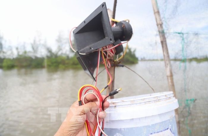Thiết bị phát âm thanh giả tiếng chim được sử dụng để dẫn dụ các đàn chim hoang dã bay vào khu vực đã giăng lưới tại vùng ven biển xã An Châu. Ảnh: Xuân Tiến - TTXVN