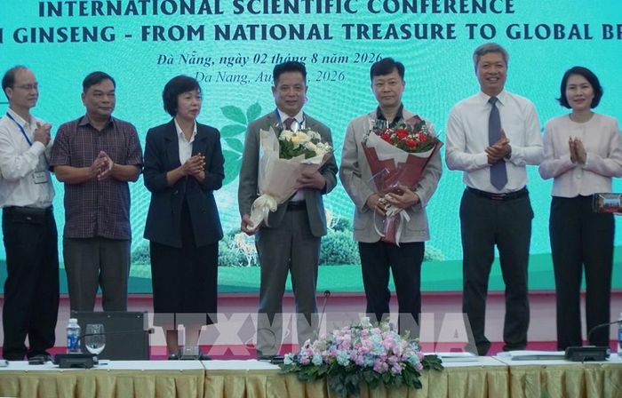 Công bố thỏa thuận hợp tác giữa Hội Sâm Ngọc Linh Quảng Nam (thành phố Đà Nẵng) và Hiệp hội Sâm Geumsan (Hàn Quốc). Ảnh: Quốc Dũng - TTXVN