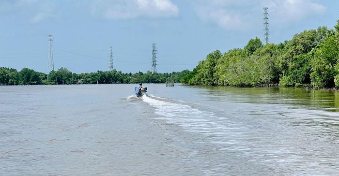 Du khách đi ca nô (hoặc vỏ lãi) từ bến phà Năm Căn đến Đất Mũi.