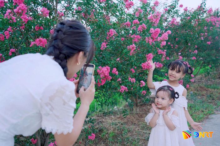 Các gia đình đưa con nhỏ đến vui chơi, lưu lại khoảnh khắc giữa mùa hoa. Ảnh: TRÂM ANH