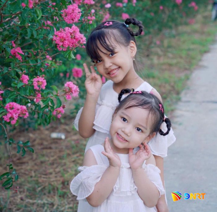 Những chùm tường vi nối dài hai bên đường, tạo điểm nhấn cho không gian làng quê. Ảnh: TRÂM ANH