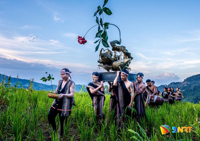 Lễ cúng thần sâm của người Xơ Đăng thể hiện sự tri ân đối với rừng và nguồn dược liệu quý.