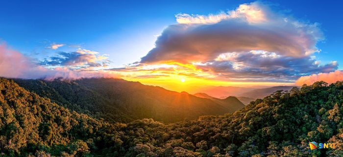 Bình minh trên dãy Ngọc Linh, nơi những cánh rừng nguyên sinh tạo nên môi trường sinh trưởng đặc biệt của sâm Ngọc Linh.