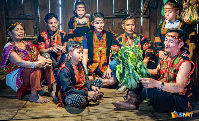 Ba thế hệ trong gia đình cùng quây quần lắng nghe những câu chuyện về cây sâm.