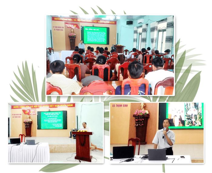 Dự án tổ chức tập huấn thay đổi tư trồng và chăm sóc cây cau cho người dân Thạnh Bình. Ảnh: PHAN VINH