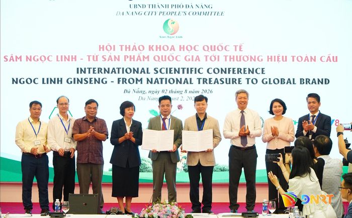 Lãnh đạo thành phố chứng kiến lễ trao các biên bản ghi nhớ hợp tác (MoU) giữa Hội Sâm Ngọc Linh Quảng Nam (thành phố Đà Nẵng) và Hiệp hội Sâm Geumsan (Hàn Quốc) về phát triển sâm và dược liệu. Ảnh: VINH ANH