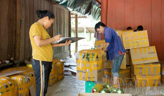 Đóng thùng, chuẩn bị vận chuyển tới khách hàng.
