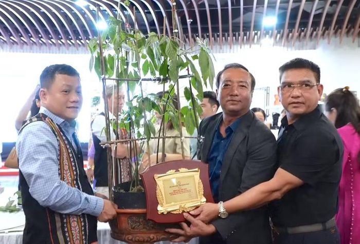 Ông Phan Thanh Thiên - Tổng Giám đốc Trường Sinh Group (thứ 2 từ phải sang) đại diện doanh nghiệp đấu giá thành công cây sâm Ngọc Linh 35 năm tuổi với mức 725 triệu đồng.