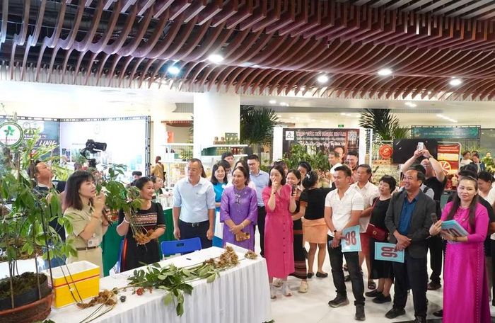 Quang cảnh phiên đấu giá.