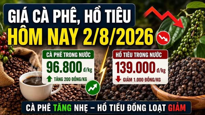 Hình minh họa (AI)