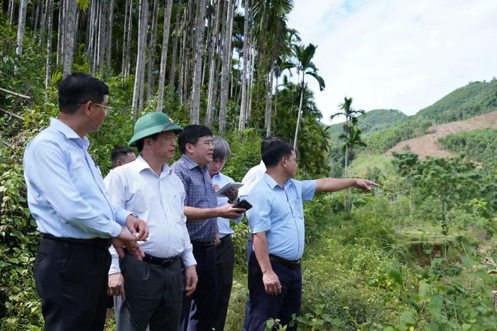  Phó Chủ tịch Thường trực UBND tỉnh Nguyễn Tuấn Thanh (thứ 2 từ trái sang) kiểm tra công trình nâng cấp, cải tạo kè chống xói lở cánh đồng ruộng xanh (xã An Vinh). Ảnh: N.H 